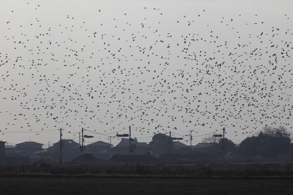 逆光になるように