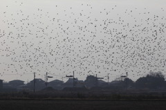 逆光になるように