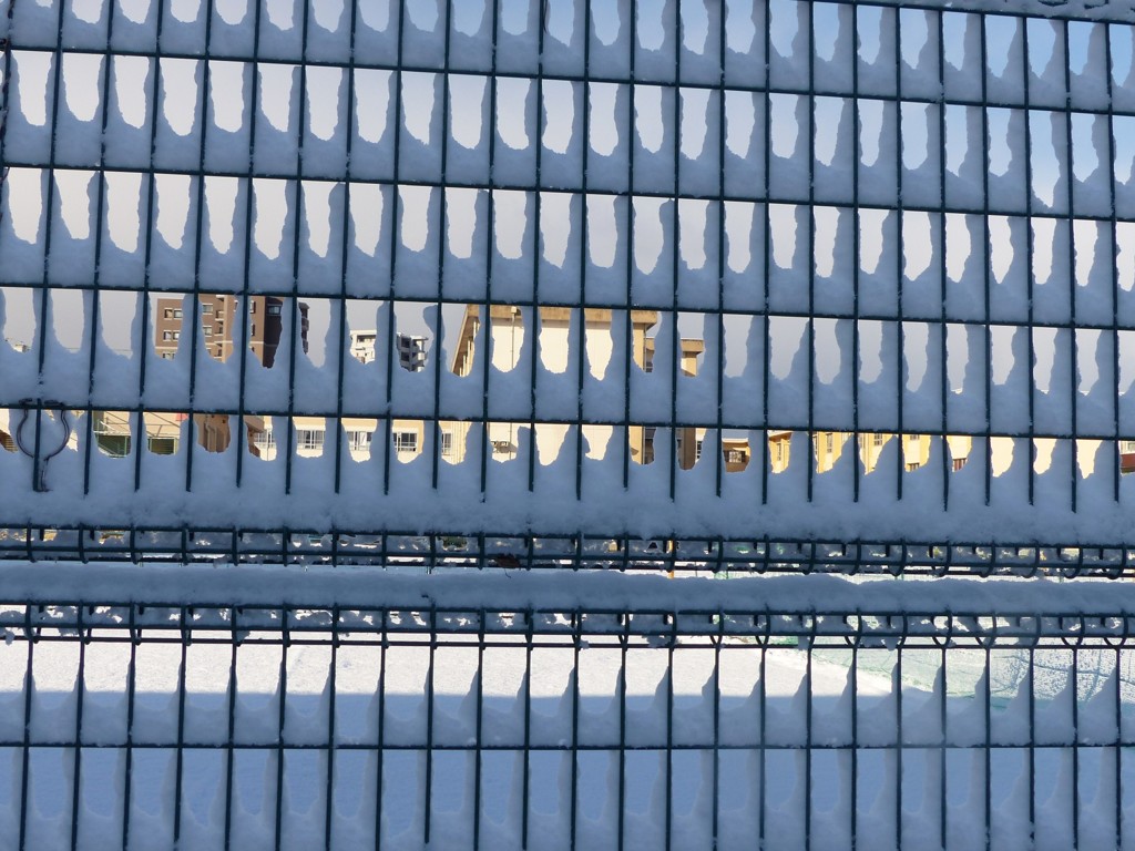 きれいなフェンス