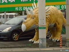 台風で走り出さないように