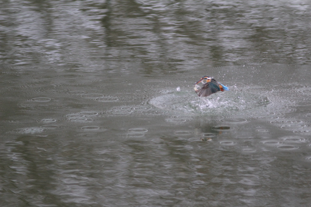 わずかにぶれました
