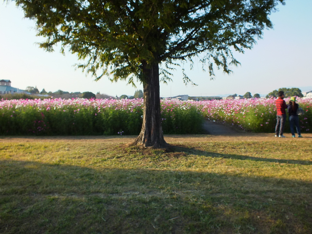 弁当持って行きましょう