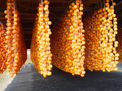 うまく、つるしますね