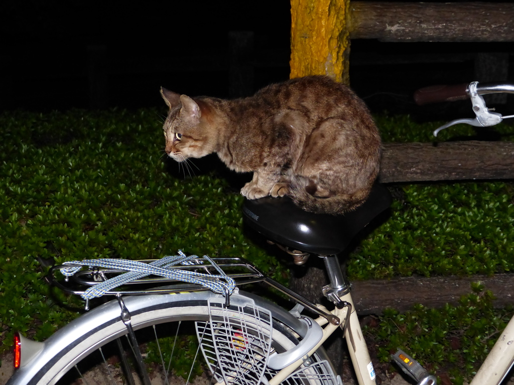 もう帰ろう