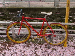 しゃれてますね