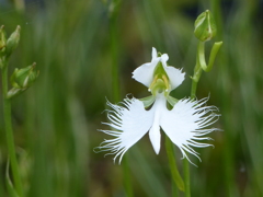 もう少しでいっぱい