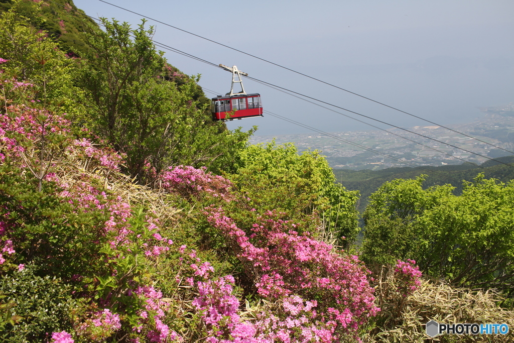 きれいかですよ