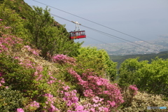 きれいかですよ