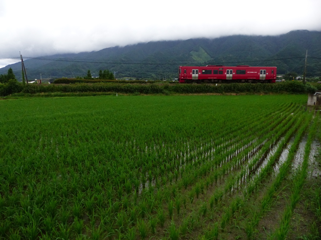 おはようございます