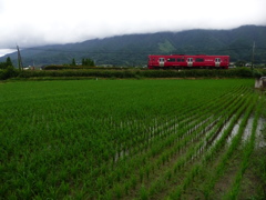 おはようございます