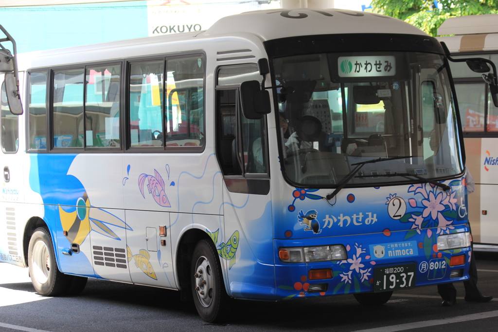 大きなかわせみ