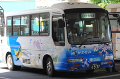 大きなかわせみ