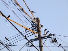 ７０００枚記念