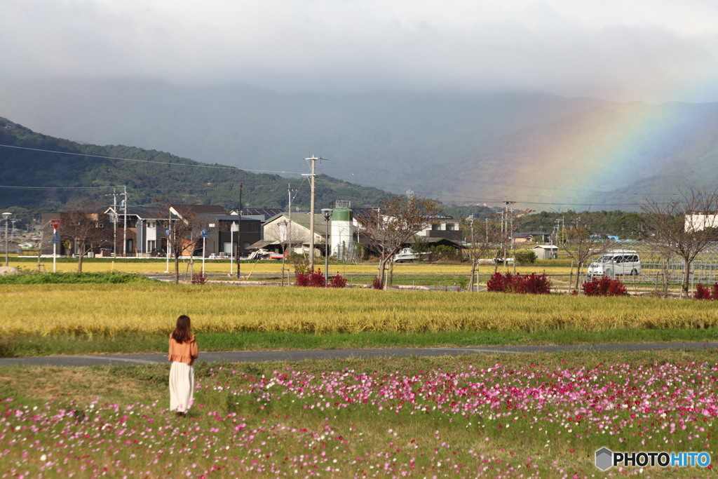 よかことあるよ