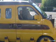 イベントに登場しますよ