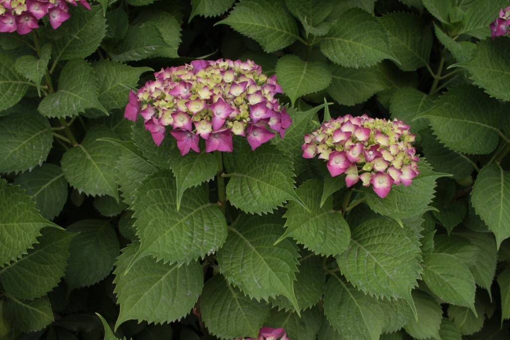 カビはえないように