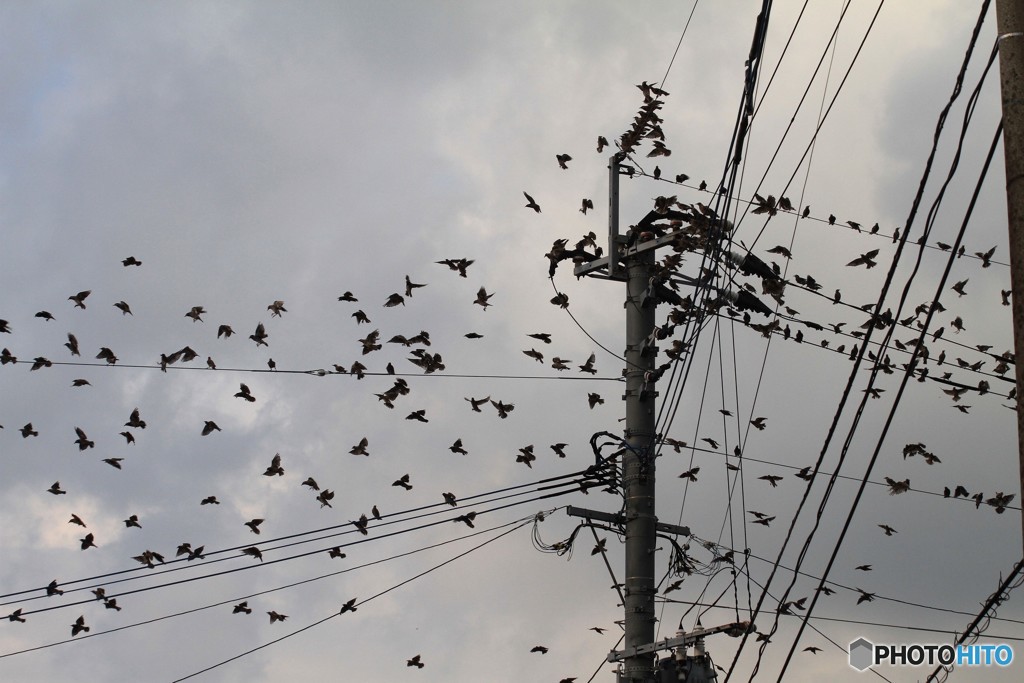 なんばしょっと