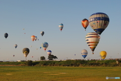 カメラマンのほうへ