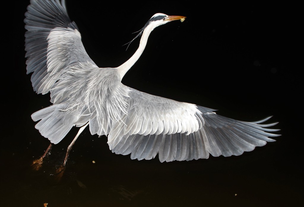 源さんモデル代ありがとう