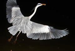 源さんモデル代ありがとう