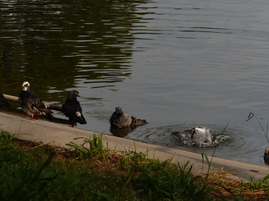 今日は暑かったね