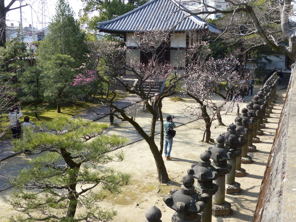 ここがベスト？