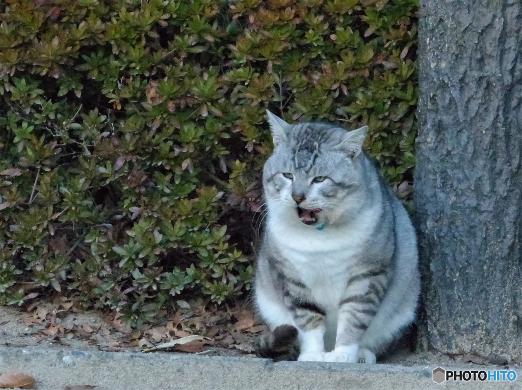 源さん青ちゃん来たよ