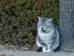 源さん青ちゃん来たよ