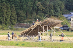 柿干したな