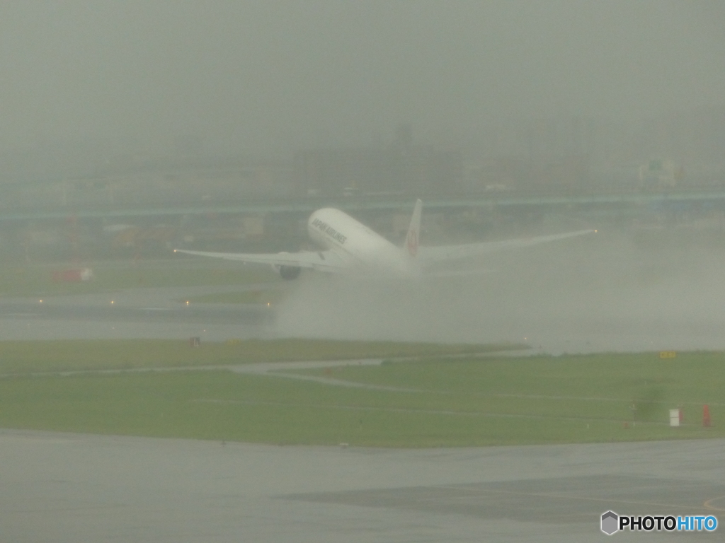 行きはこんな感じで