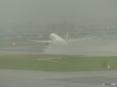 行きはこんな感じで