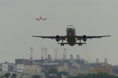 ピンクがきたー