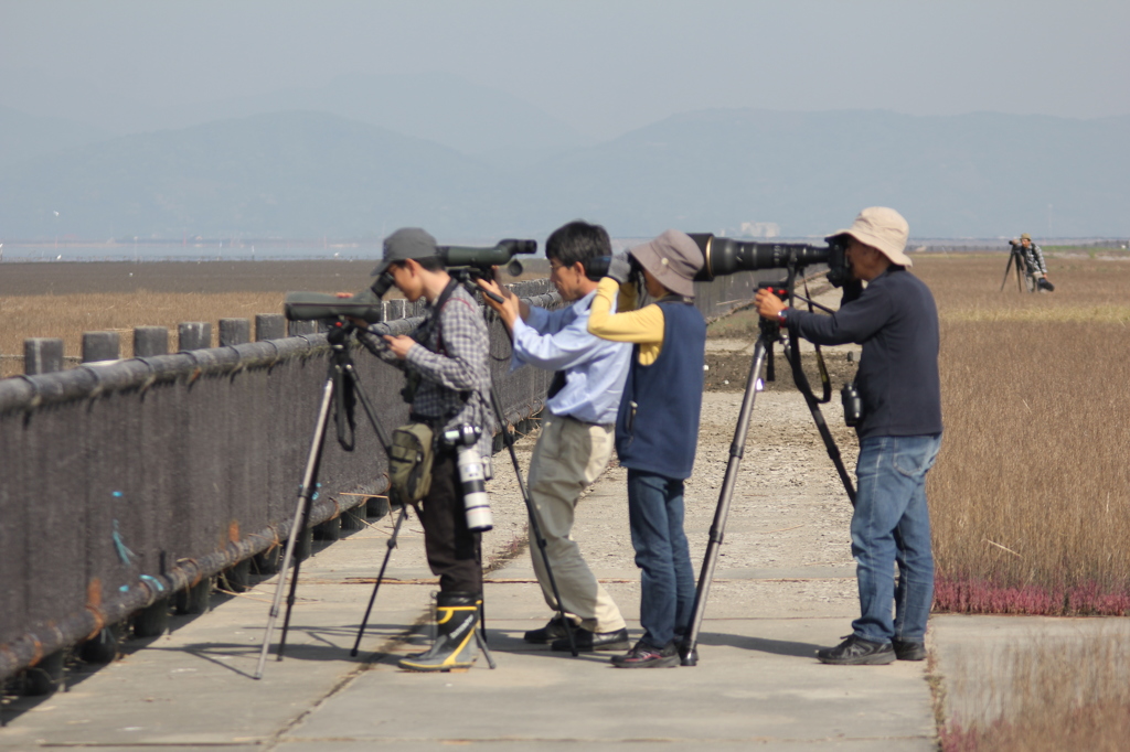 こちらは、野鳥の会