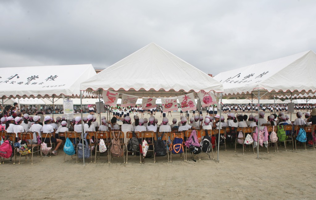 ピンクもありました