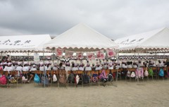 ピンクもありました