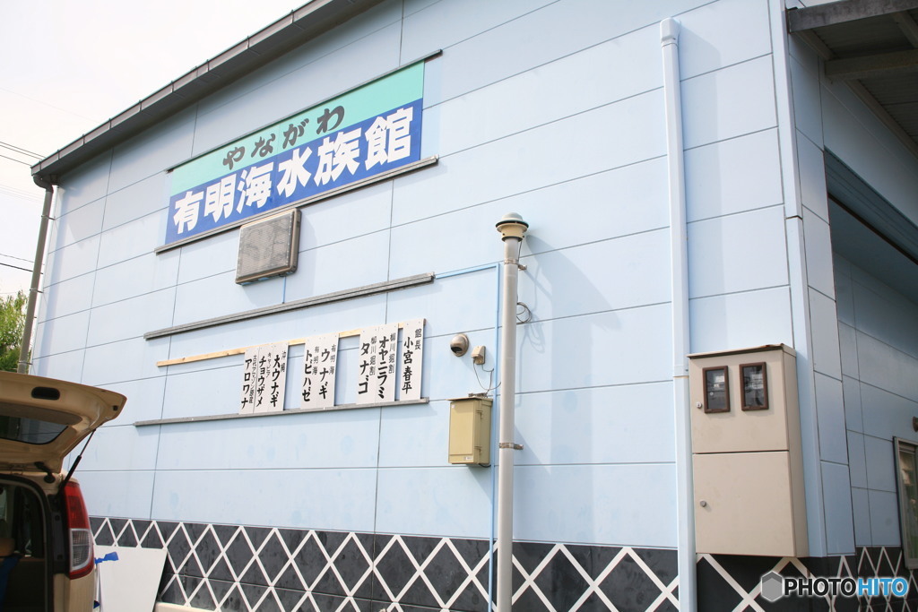 ここに、今日は飾ってるかな？