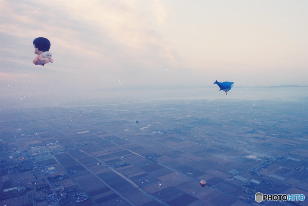 赤ちゃんもクジラも
