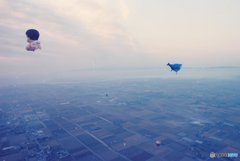 赤ちゃんもクジラも