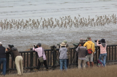 鳥くんあっぱれ