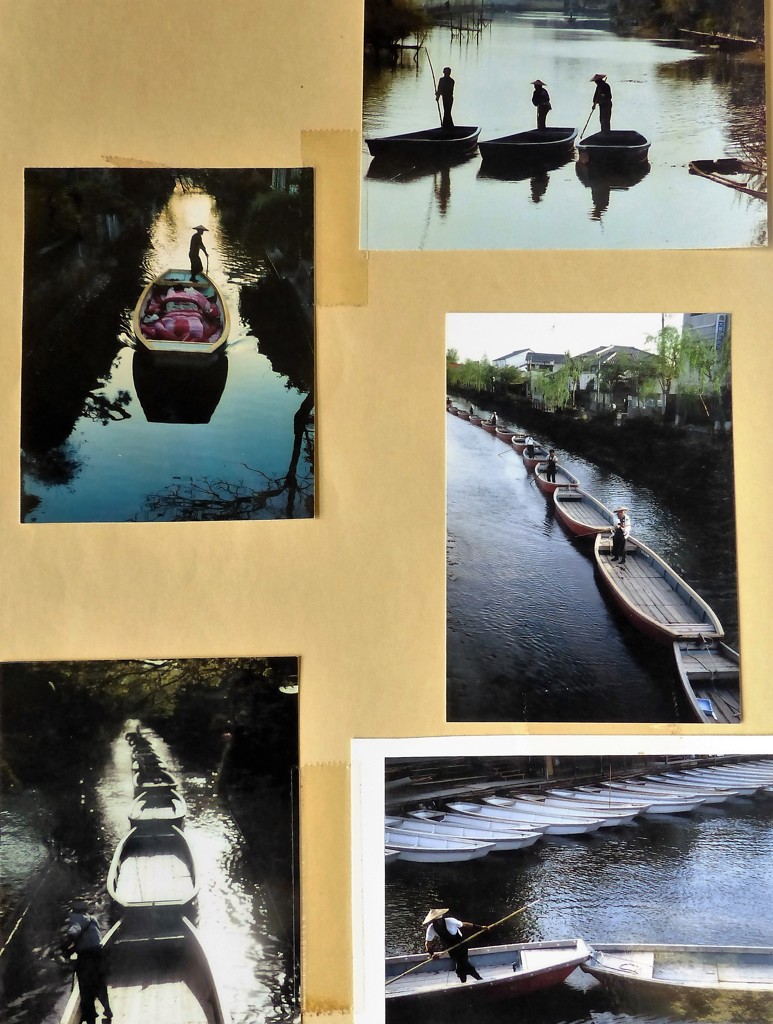 バタフライパレード