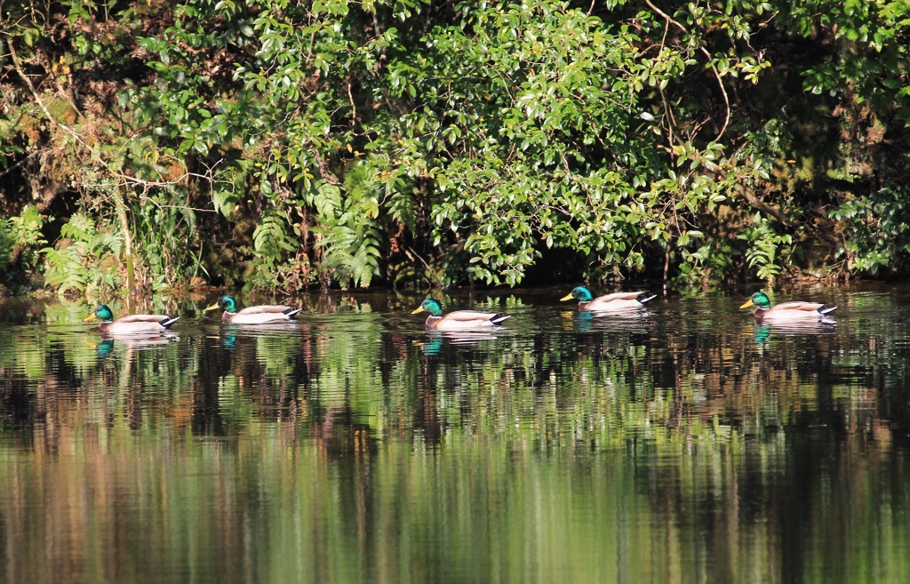 名前知りません