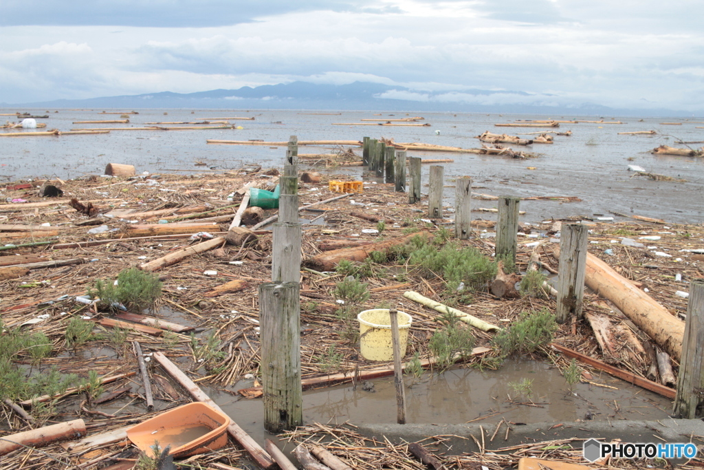 有明海佐賀干潟