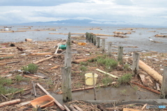 有明海佐賀干潟