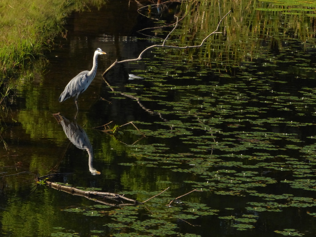 こんなとこです