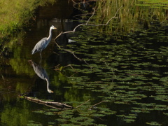 こんなとこです