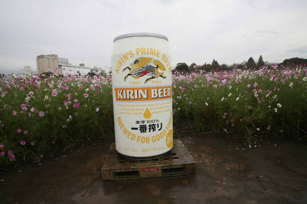 この会社工場敷地です