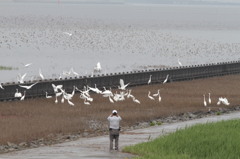おじさん、ちかずきすぎ