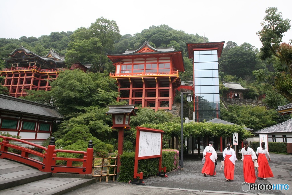 エレべーター出来たよ