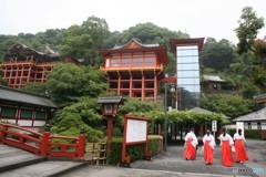 エレべーター出来たよ