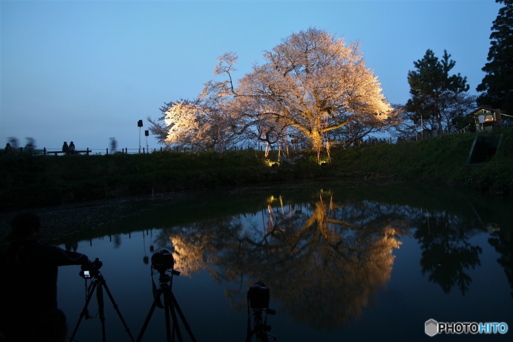 こげんかとこです